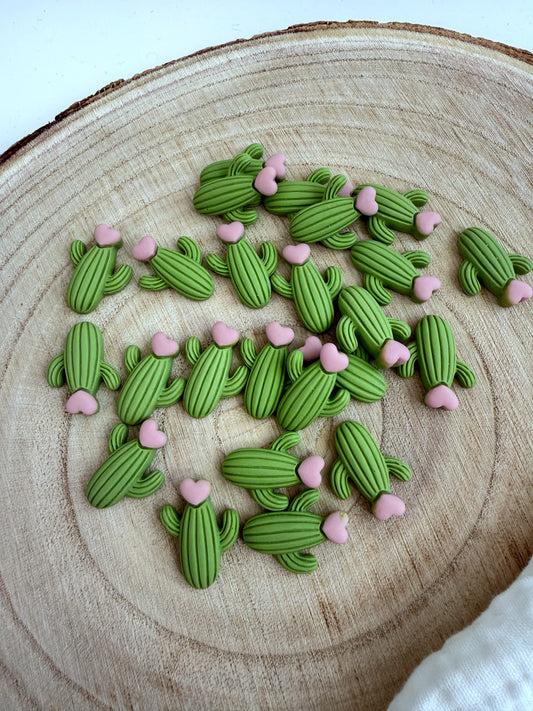 2D Miniatur Kakteen - 3er Set